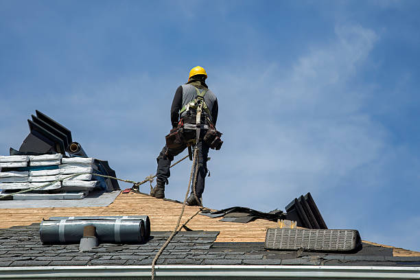 Professional Roofing technician working in Polo, IL
